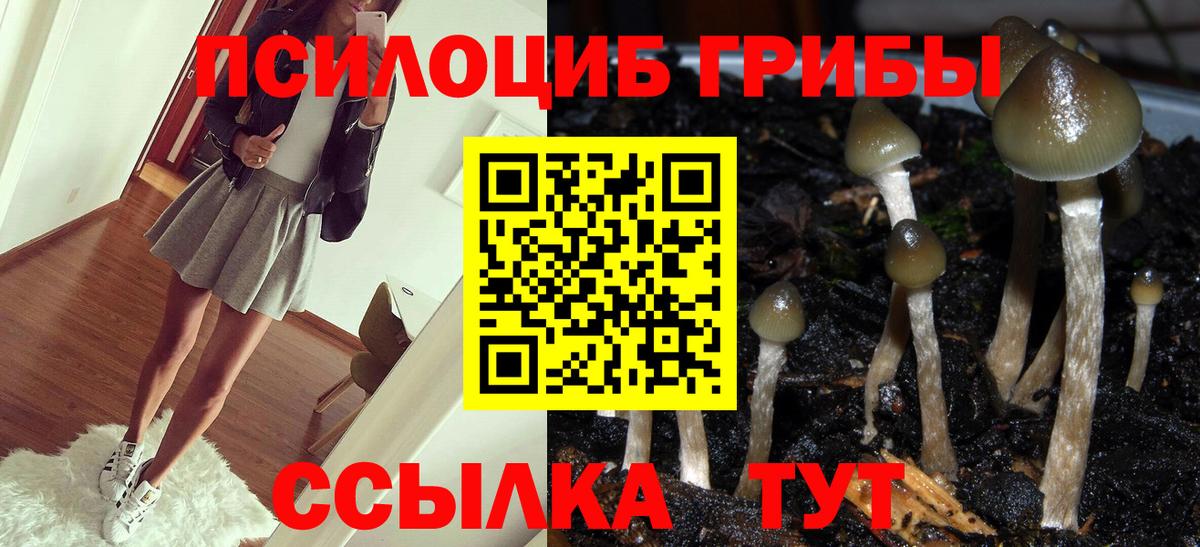 Галлюциногенные грибы прущие грибы  Вход с VPN  Дубна  Галлюциногенные грибы ЛСД 